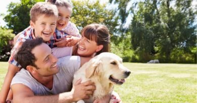 O Amor que Constrói Gerações: o maior legado de um pai e de uma mãe O Amor que Constrói Gerações: o maior legado de um pai e de uma mãe